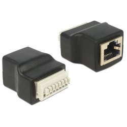 Terminal adapter zaciskowy RJ45 2pin żeński Delock 65527